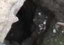 CHPli Atıcı Mersindeki gizemli kazıyı görüntüledi