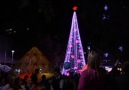 Christmas Tree Lights Record