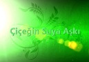 Çiçeğin Suya Aşkı