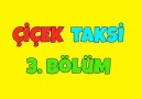 Çiçek Taksi 3. Bölüm - İyi Seyirler