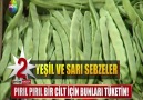 CİLDİ GENÇLEŞTİREN 6 BESİN