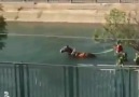 Çıldırıyorum ya Adanada su sporları