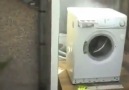 Çılgın çamaşır makinesi Harlem Shake