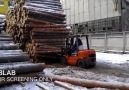 çılgın forklift sürücüsü