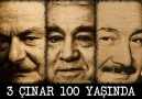 3 ÇINAR 100 YAŞINDA