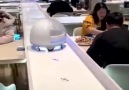Çinde bu restoranda garsonlar servis yapmıyor...
