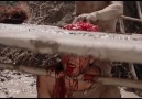 Cine Demente - Cannibal Ferox Facebook