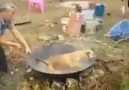 Çinlilerin CANLI CANLI Köpek Pişirme Töreni