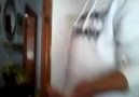2.ci Vine miz D