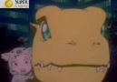 Çizgi Film Dünyamız - Digimon The Movie 01 - Türkçe Dublaj Facebook