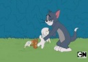 Çizgi Film Dünyası - Tom Ve Jerry Show hazine tam burada Facebook