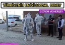 Cizre&Sosyal Deney ...... - Cizrem ve Herşey