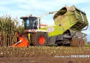 Claas Jaguar 900 New Holland T7070 & T7.210 Blue power