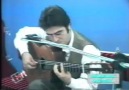 Classical Guitar - L.V.Beethoven - Menuet