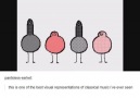 Classic muscial pigeons
