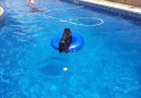 Clever dog uses pool toy as a boat to fetch his ball