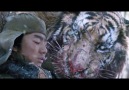 Click link full movie Amur tiger killing Hunter Force