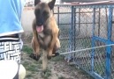 123 Clip - Facebook