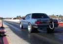 Close call Mustang wheelie