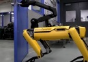 Closed doors are no match for Boston Dynamics latest robotic dog