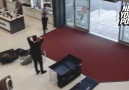 Clumsy dope hilariously causes thousands of dollars in damage