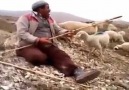 Çoban abimize gelsin beğeniler - Kırşehir Efsaneleri