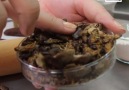Cockroach bread might feed worlds population in the future. (via In The Know)