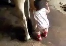Çocuğu bırakın da süt içsin.