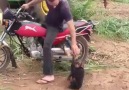 ÇOCUK HER YERDE ÇOCUK KIYAMAM YAA..)