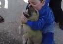 Çocuk Köpeğin Kulağını Isırıyor