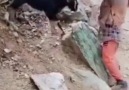 Çocukların komik anları