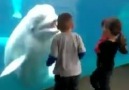 Çocuklarla oyun oynayan sevimli balina