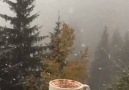 Coffee and Snow