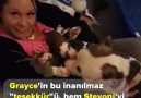 Çoğu insanda göremediğimiz Minnet gösterisi