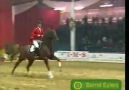 !!! ÇOK CESUR AT / VERY BRAVE HORSE !!!