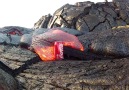 Coke Can Vs Lava