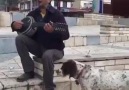 Çok güldüm köpeğe dikkat