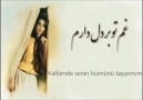 Çok güzel bir Farsça şarkı: Narçiçeğim