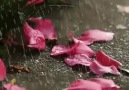 Çok güzel bir hikaye&lt3 Su İle Çiçeğin Aşkı &lt3