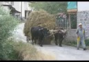 Çok özledim .güzel klip