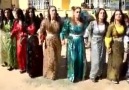 Colemerg Hakkari halayı -Şexani