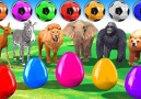 Colors For Kids - Animals Soccer balls Video For Kids - Bunny Surprise eggs Animals Cartoons For Children