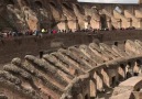 Colosseum In Rome