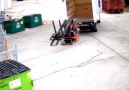Common Causes Of Forklift Accidents