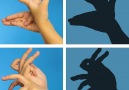 Cool hand shadows. Can you name the last onebit.ly2ouif0C