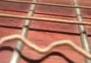 Cordas de violão vistas de perto
