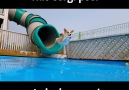 Corgi Pool Party