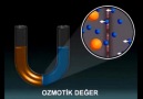 6-c-Ozmotik Basınç
