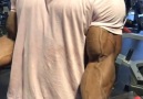 Crazy Arm Pumping Movement.Source Muscle Nation