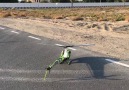 Crazy 3 blades helicopter .. Goblin Havok with Xnova motor 4535-520kv